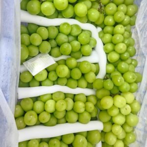 Anggur Muscat Premium 1kg