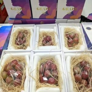 Anggur Quin Nina Dus