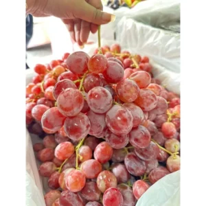 Anggur Red Globe 1kg