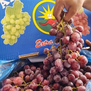 Anggur Redglobe Alby 1kg