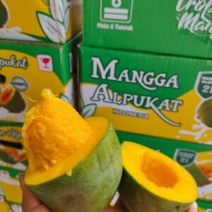 Mangga Alpukat 1 dus